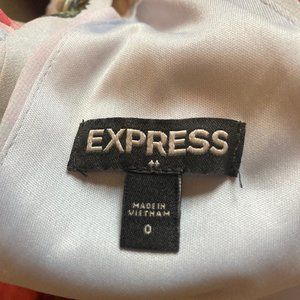Express Light Floral Dress